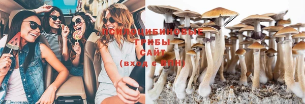 2c-b Сосновка